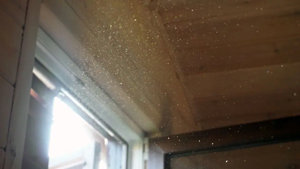 Dusty house