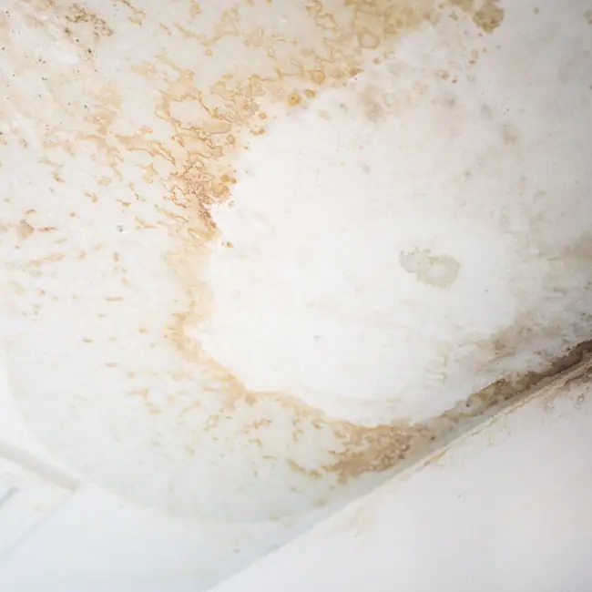 Leak detection in Chicago