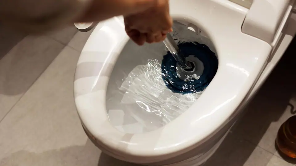 Plunger
