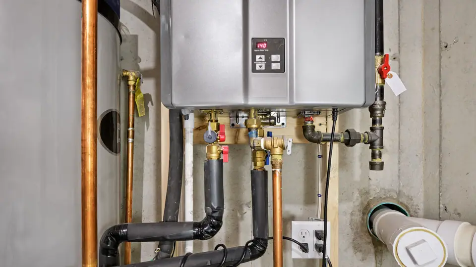 Tankless water heater flush