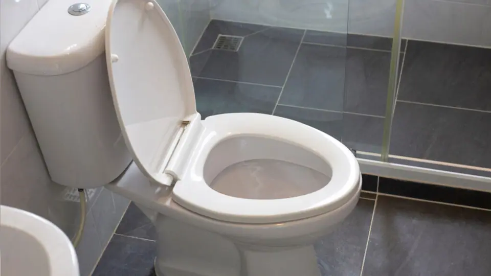 Toilet tank and bowl