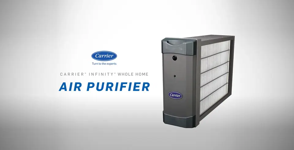 Whole home air purifier
