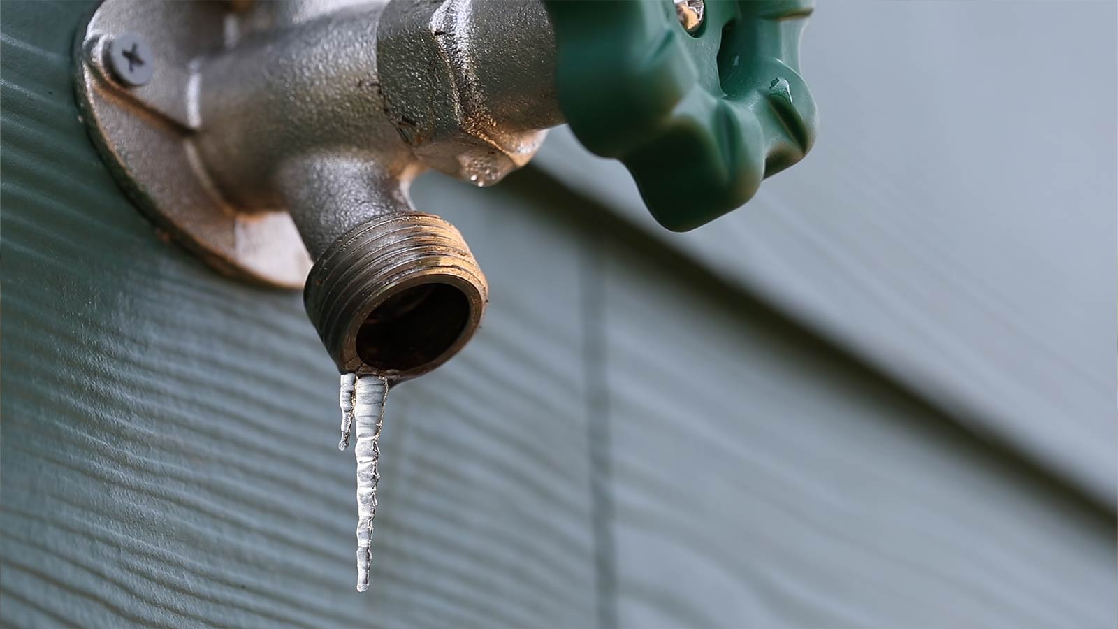 Frost proof hose bib discount